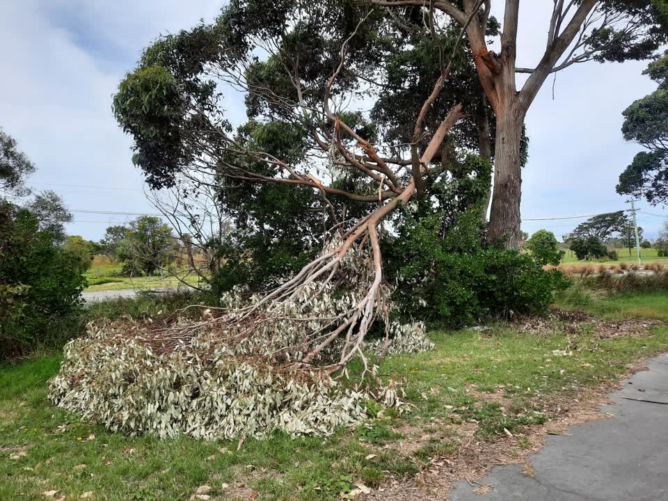 The photograph attached to this parks report