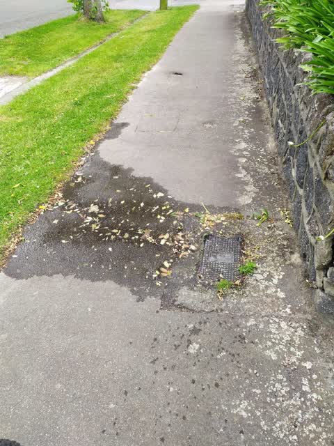 Water Leak, a report photo