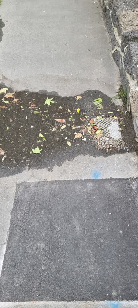 Water Leak, a report photo