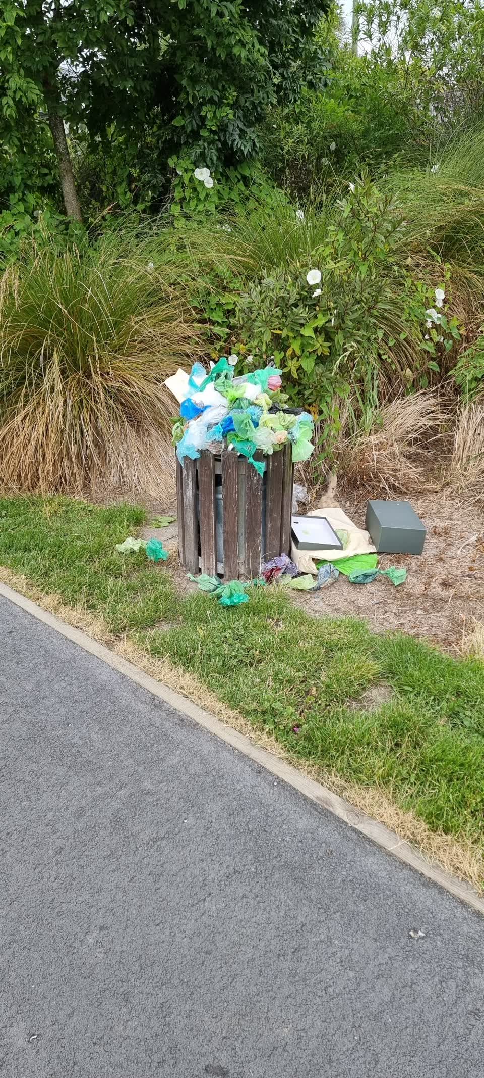 The photograph attached to this rubbish/recycling report