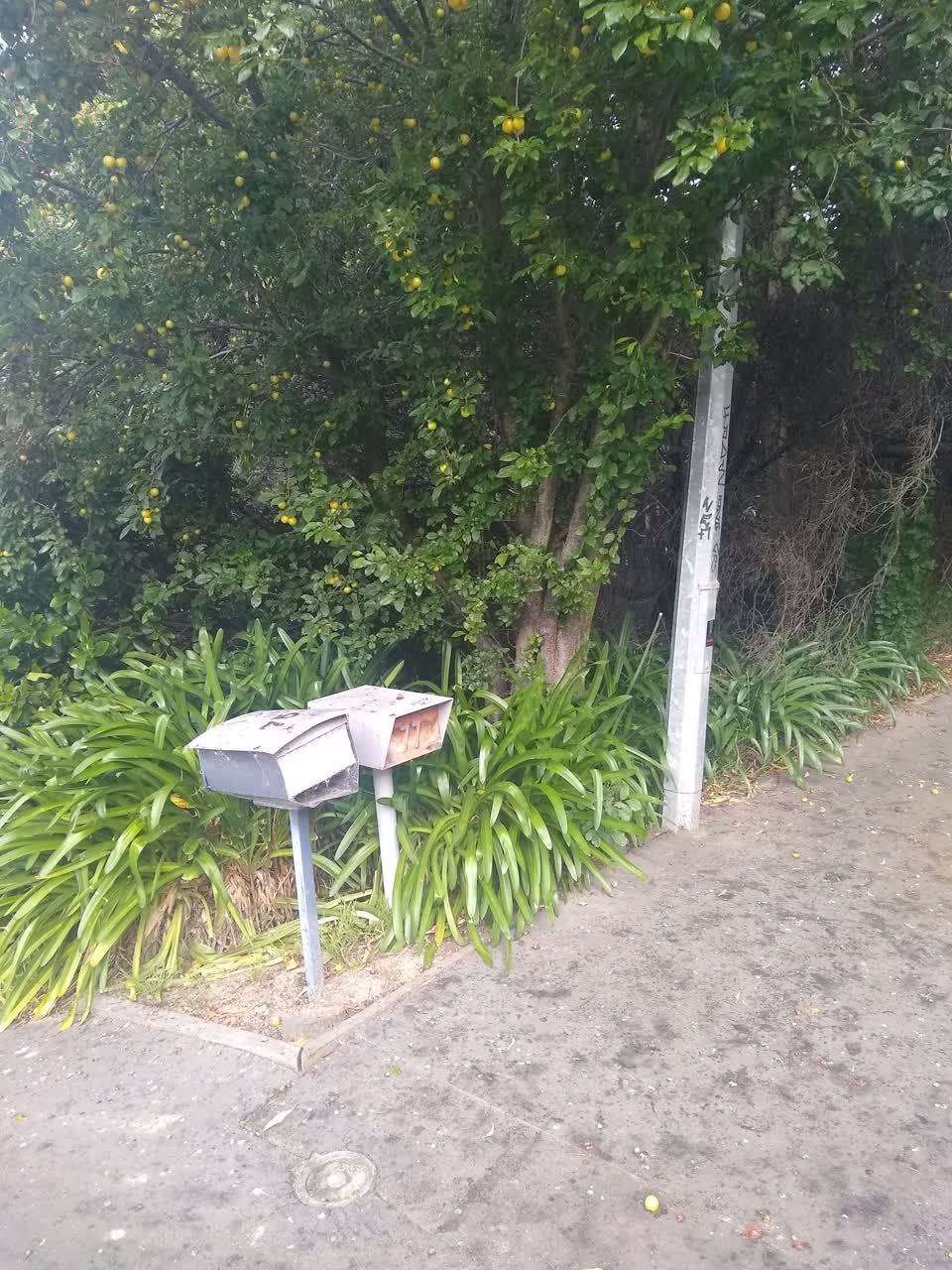 The photograph attached to this roading/streets report