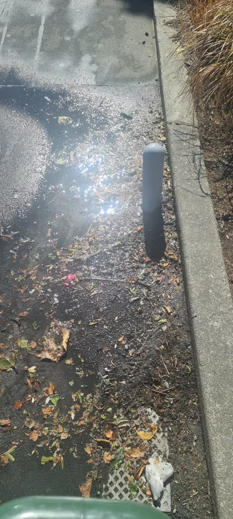 Water Leak, a report photo