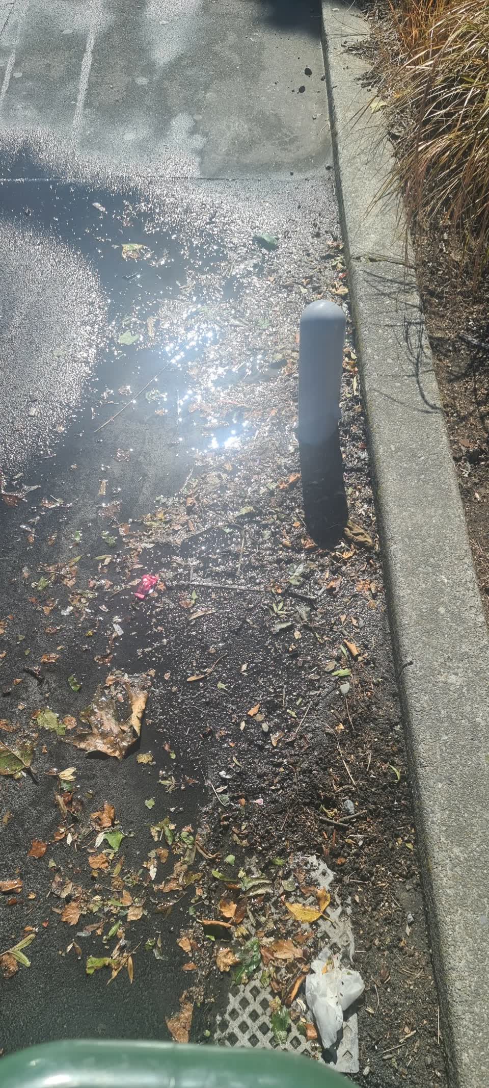 The photograph attached to this water leak report