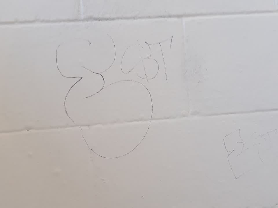 The photograph attached to this graffiti report