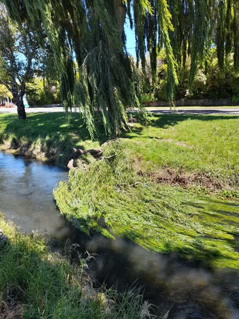 Wastewater/Stormwater, a report photo