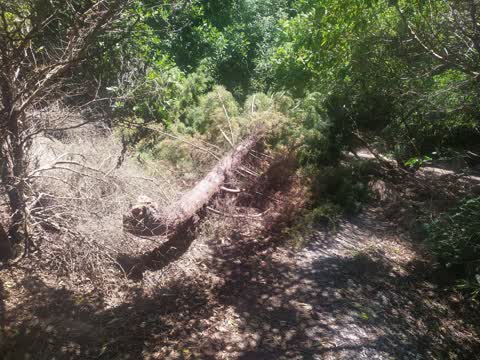 Parks, a report photo