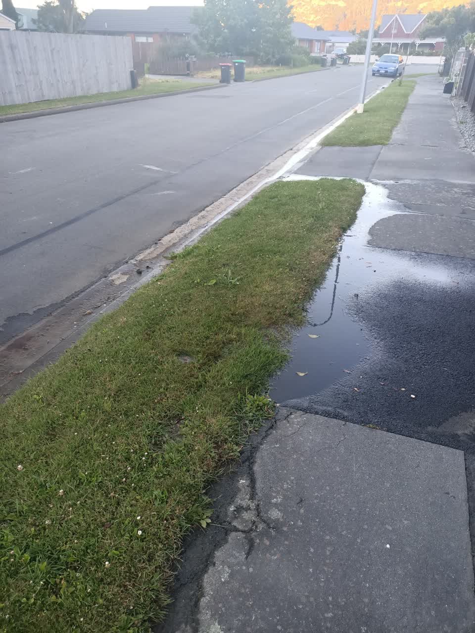 The photograph attached to this water leak report