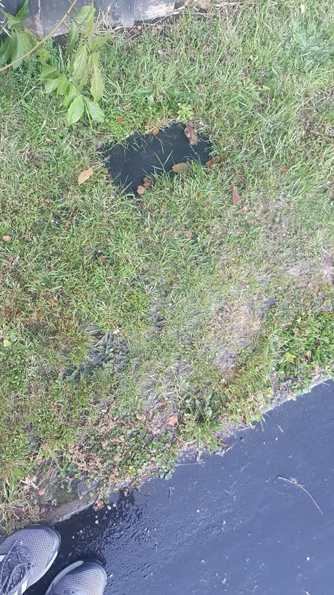 Wastewater/Stormwater, a report photo