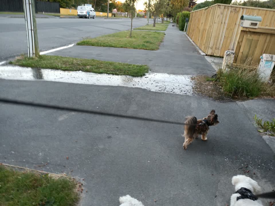 The photograph attached to this water leak report