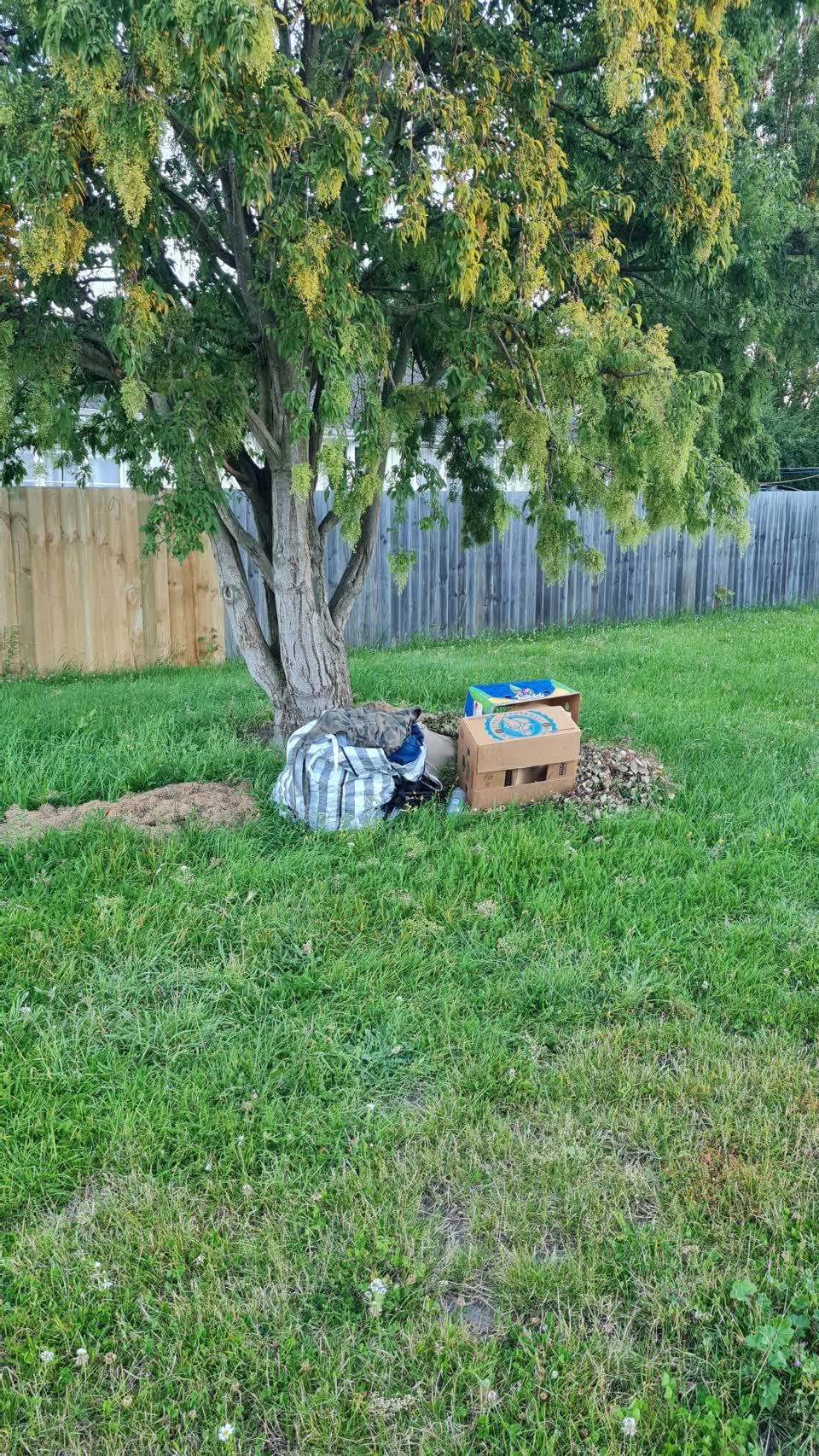 The photograph attached to this rubbish/recycling report