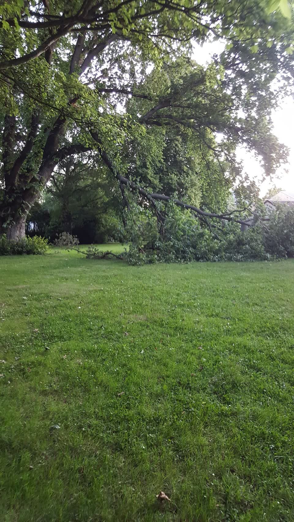 The photograph attached to this parks report