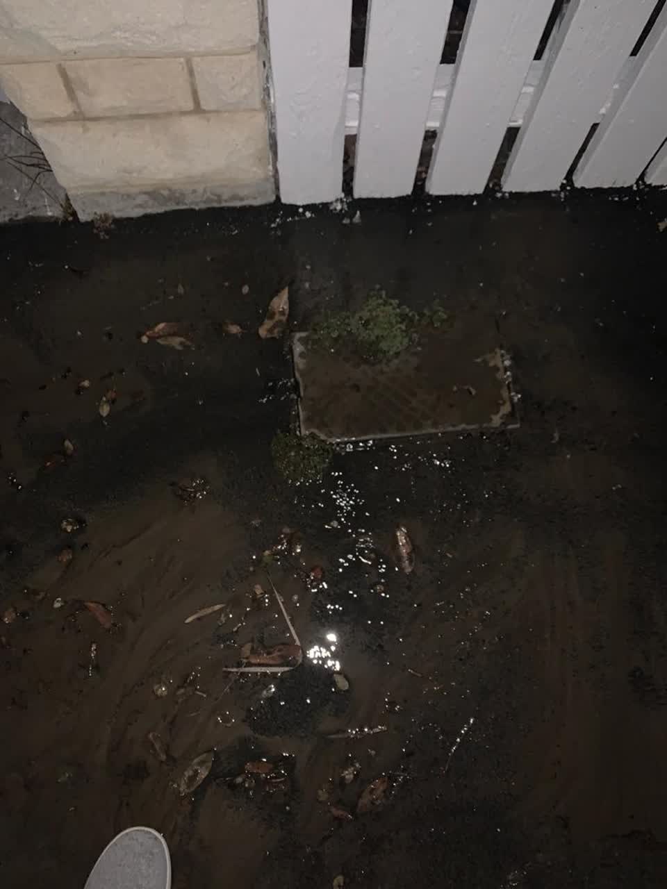 The photograph attached to this water leak report