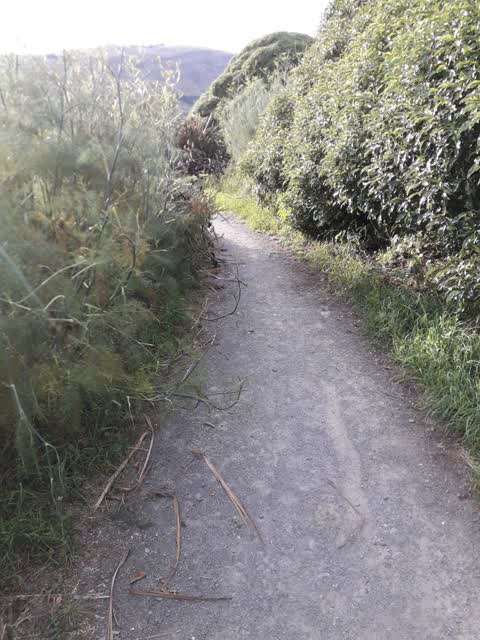Parks, a report photo