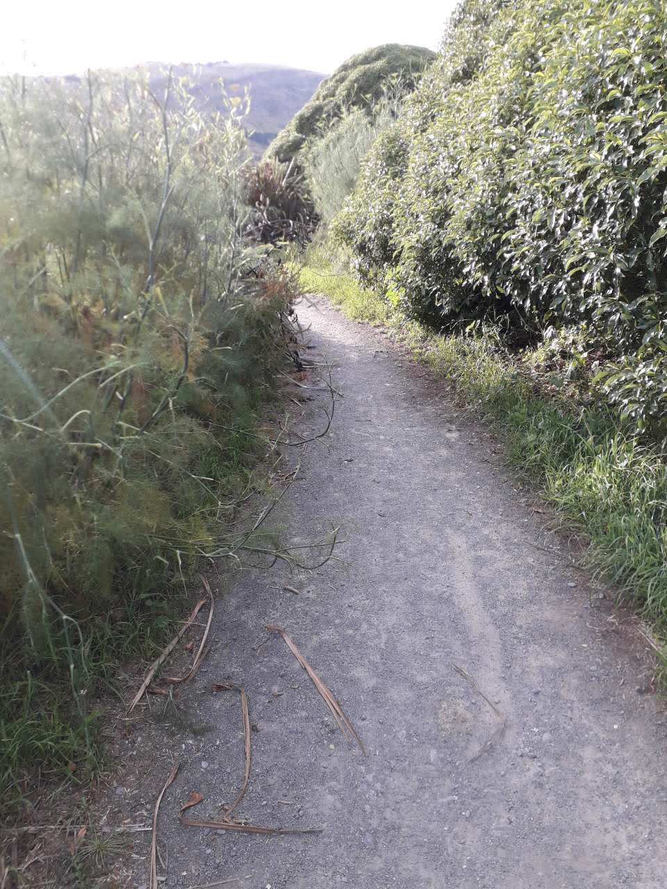 The photograph attached to this parks report