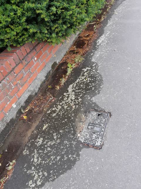Water Leak, a report photo