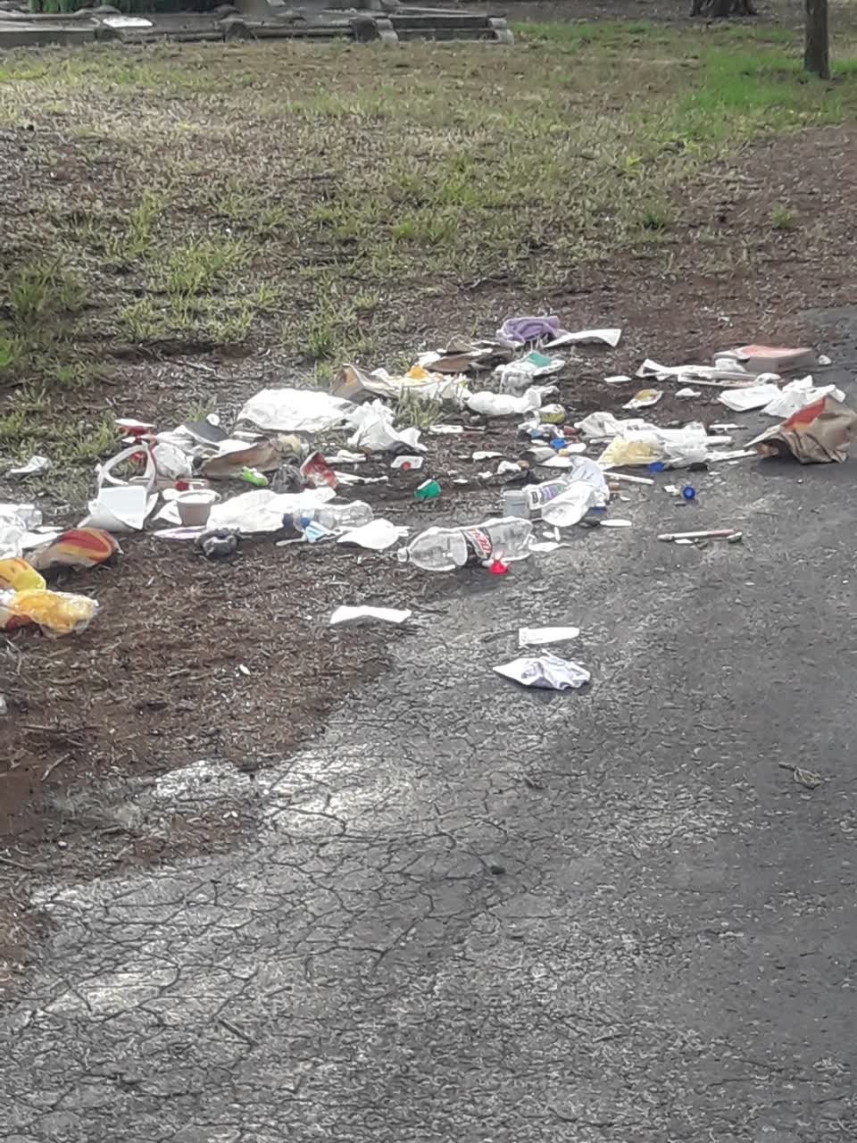 The photograph attached to this parks report