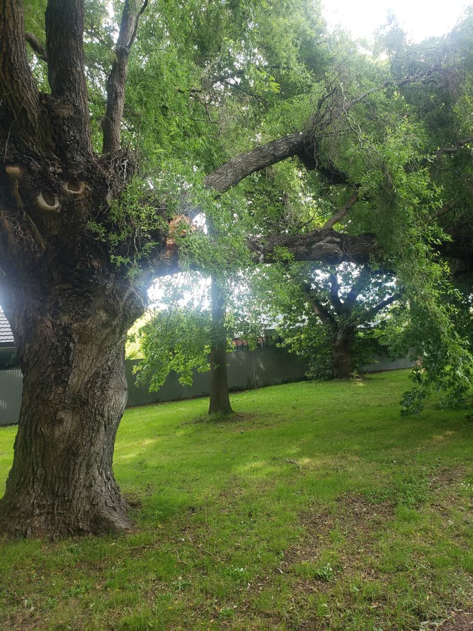 The photograph attached to this parks report
