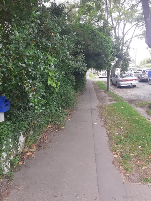 Roading/Streets, a report photo