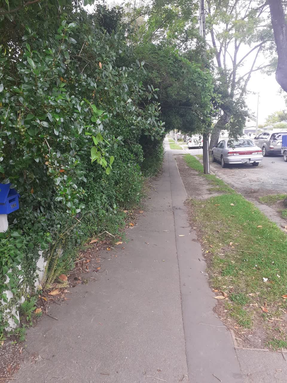 The photograph attached to this roading/streets report