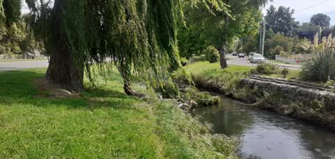 Parks, a report photo