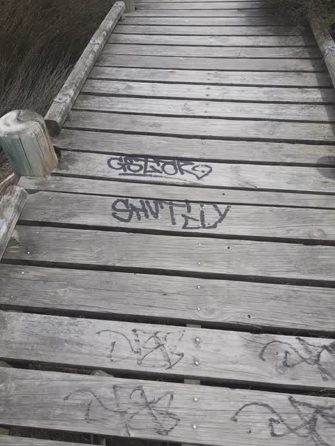 Graffiti — a report photo
