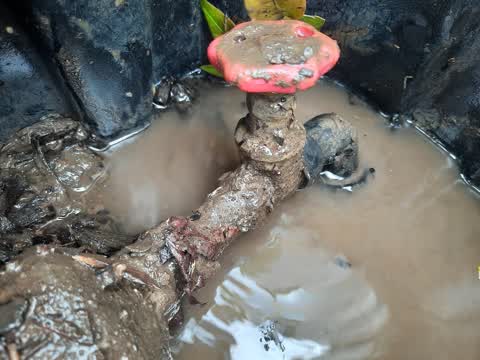 Water Supply, a report photo