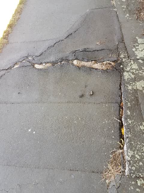 Roading/Streets, a report photo