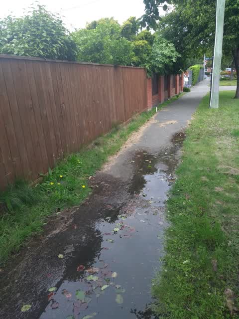 Water Leak, a report photo