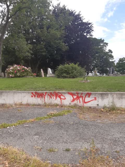 Graffiti, a report photo