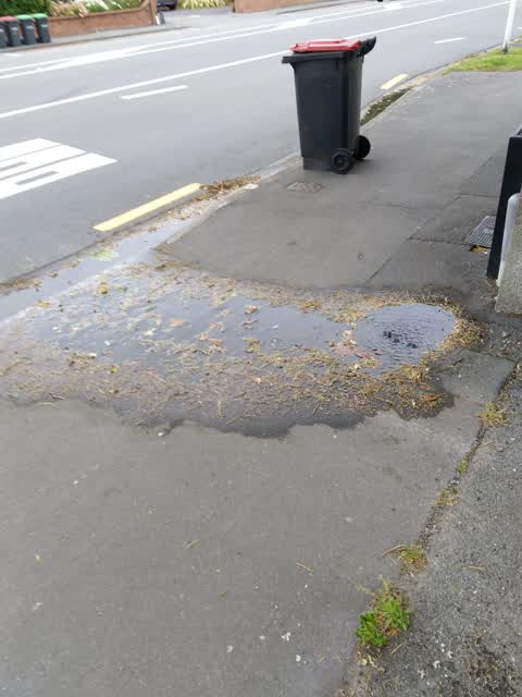 Water Leak, a report photo