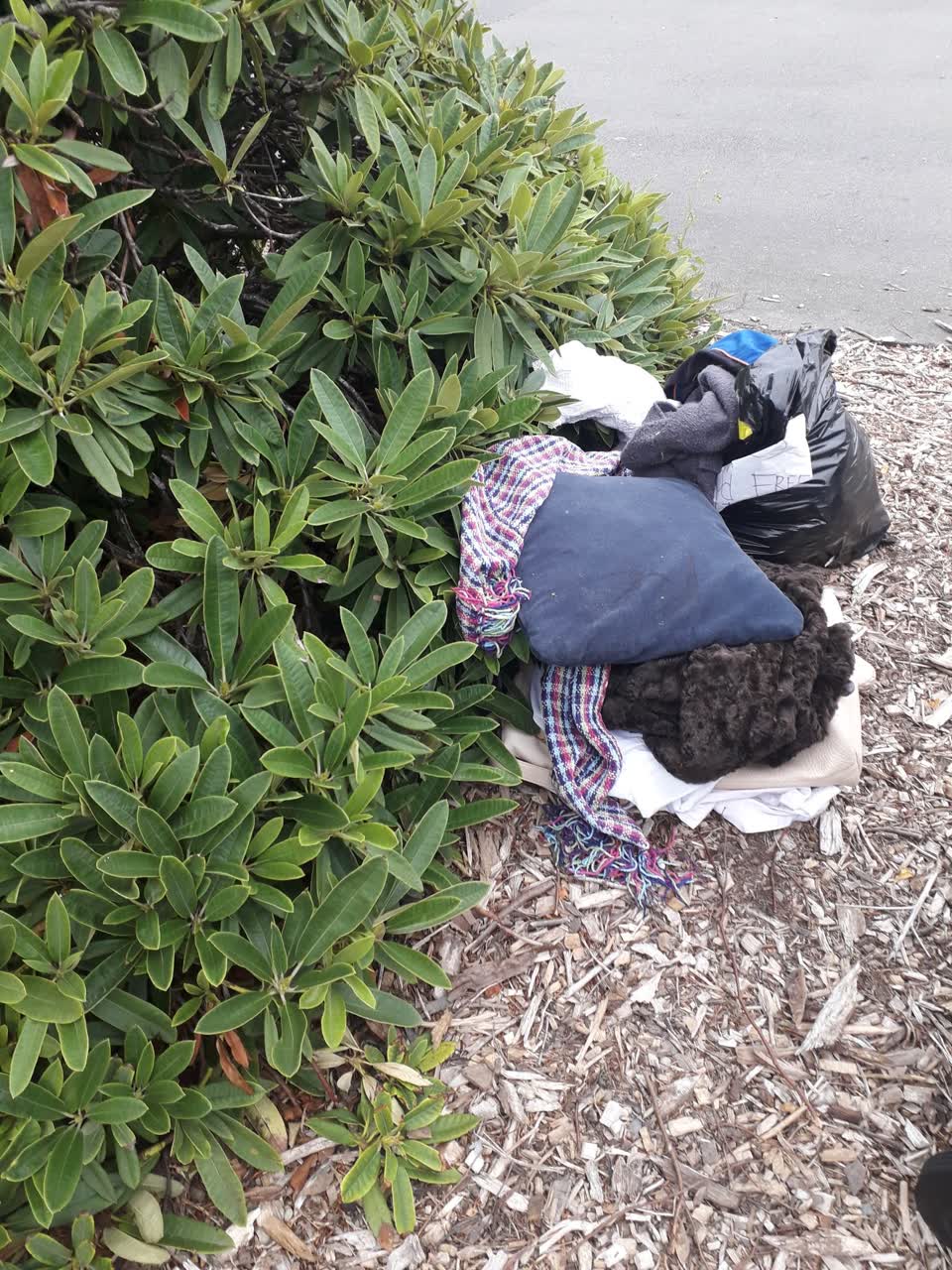 The photograph attached to this rubbish/recycling report