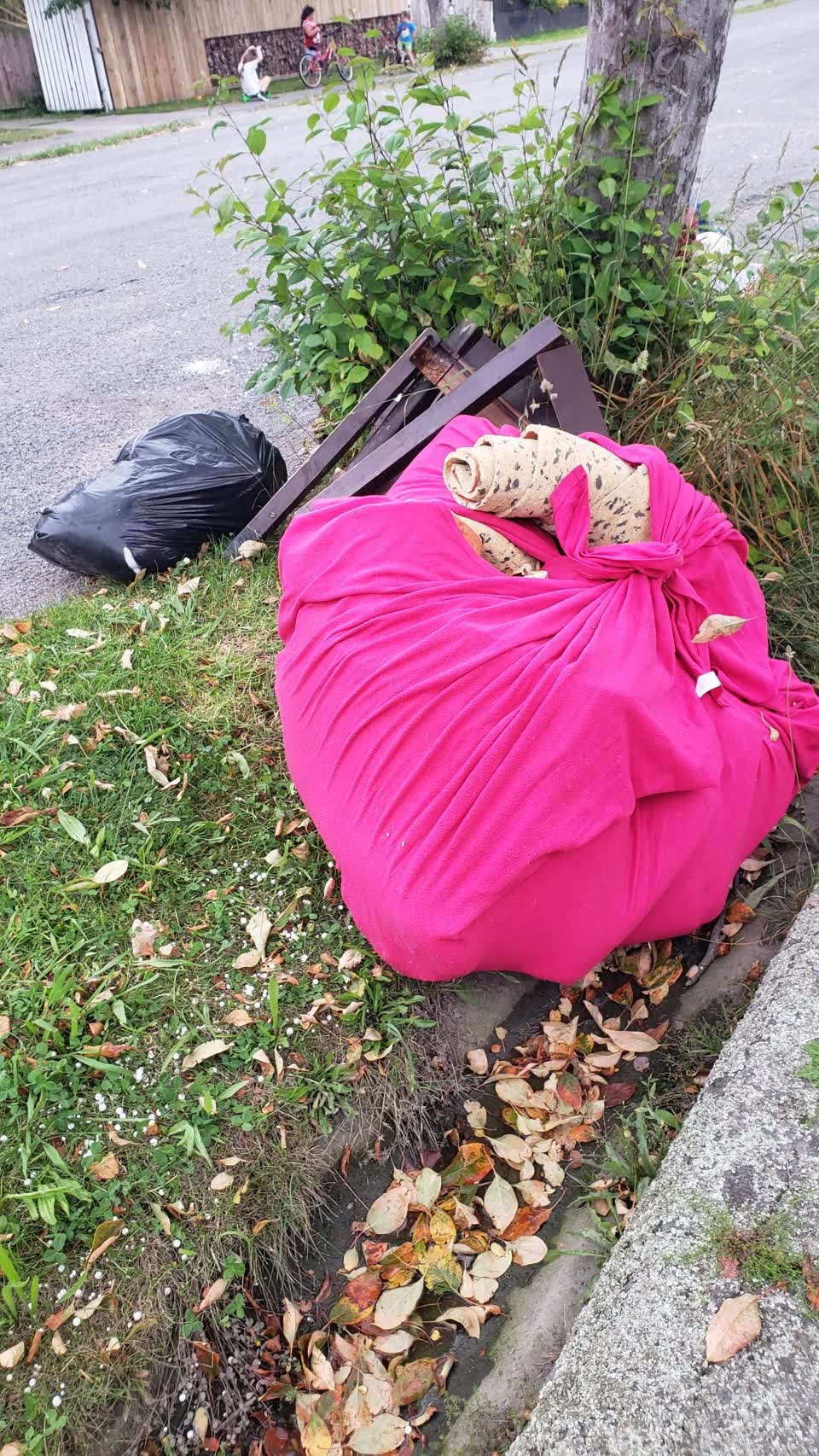 The photograph attached to this rubbish/recycling report