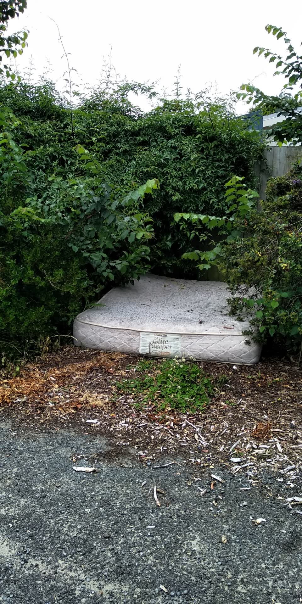 The photograph attached to this parks report