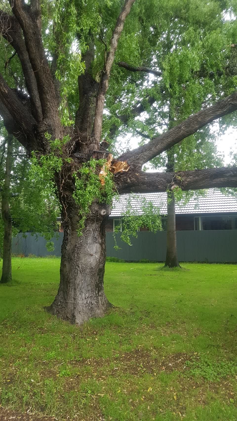 The photograph attached to this parks report