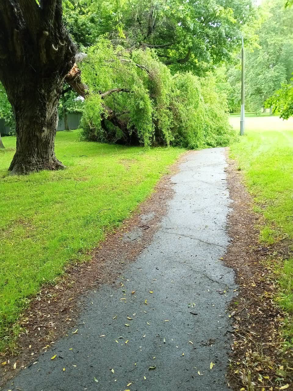The photograph attached to this parks report