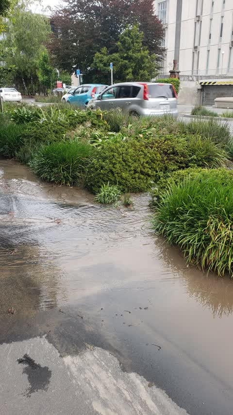 Water Leak, a report photo