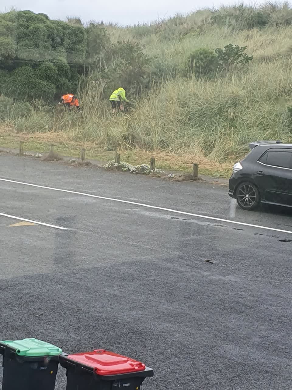 The photograph attached to this parks report