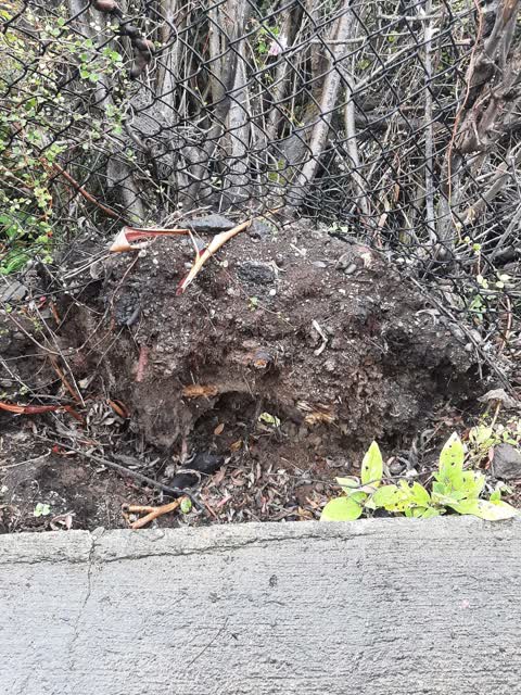 Roading/Streets, a report photo