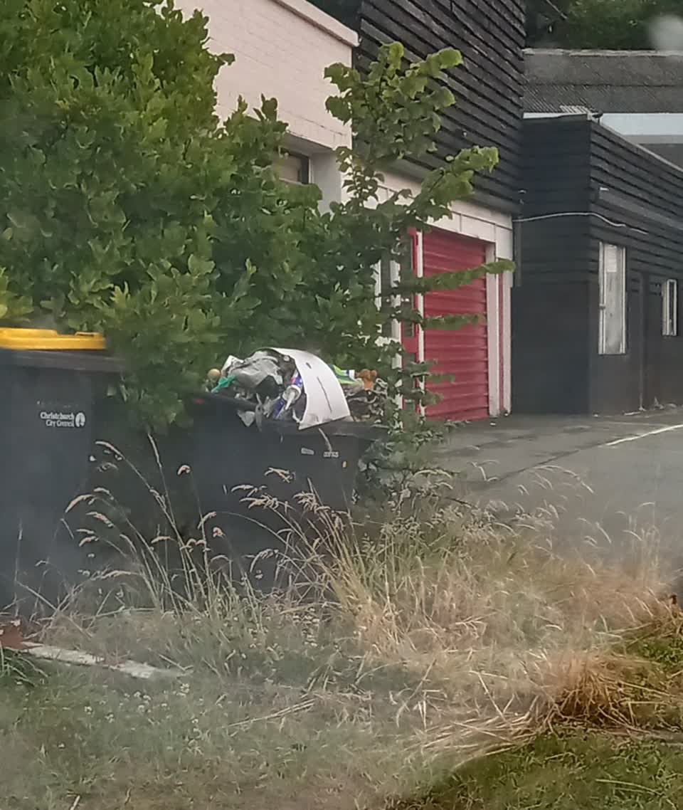 The photograph attached to this rubbish/recycling report