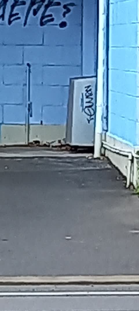 Graffiti, a report photo
