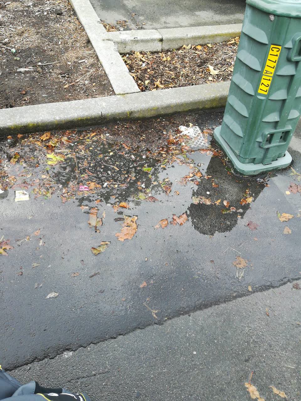 The photograph attached to this sewer - leak / blockage report