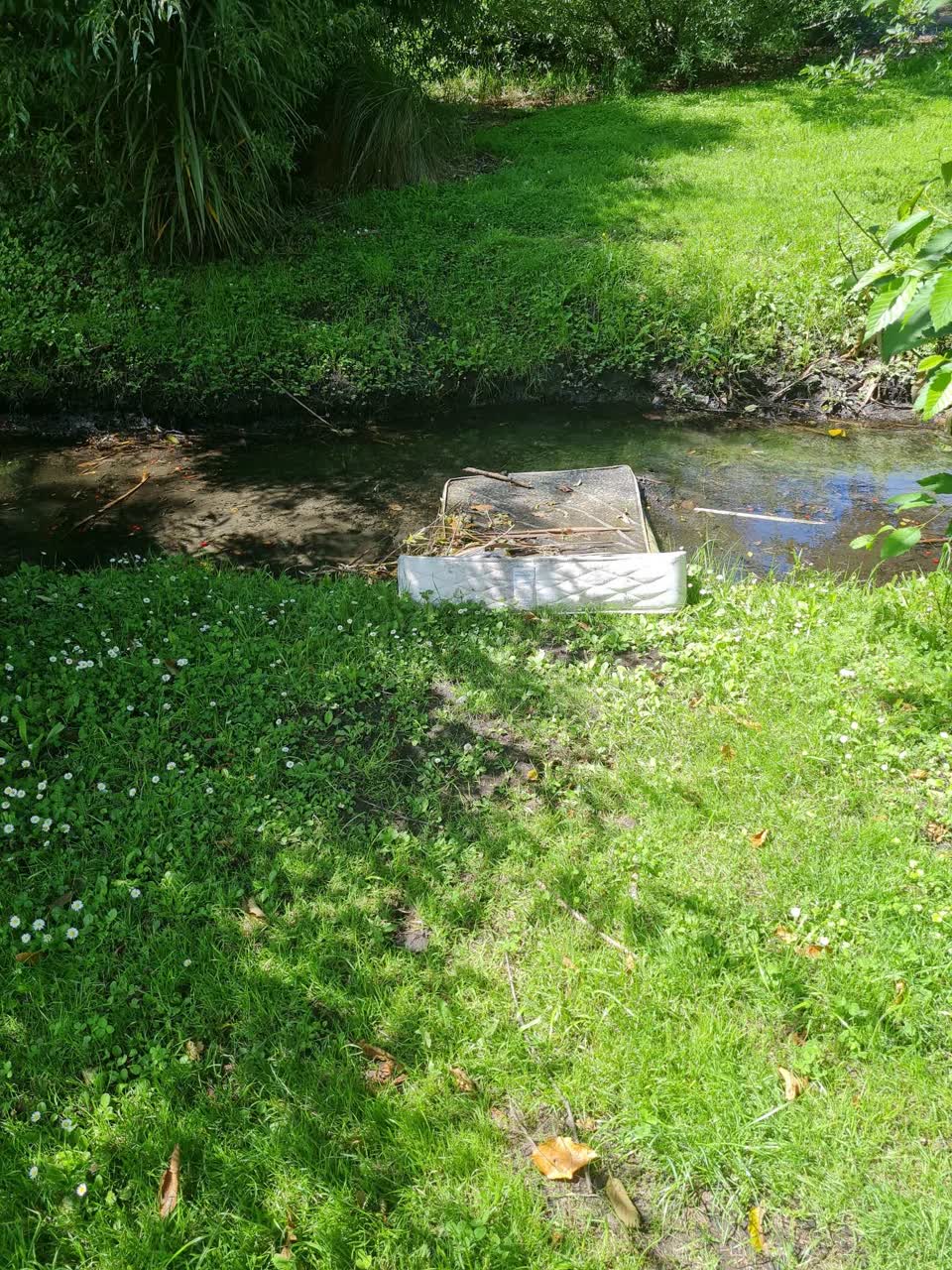The photograph attached to this parks report