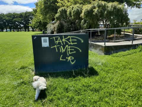 Graffiti, a report photo