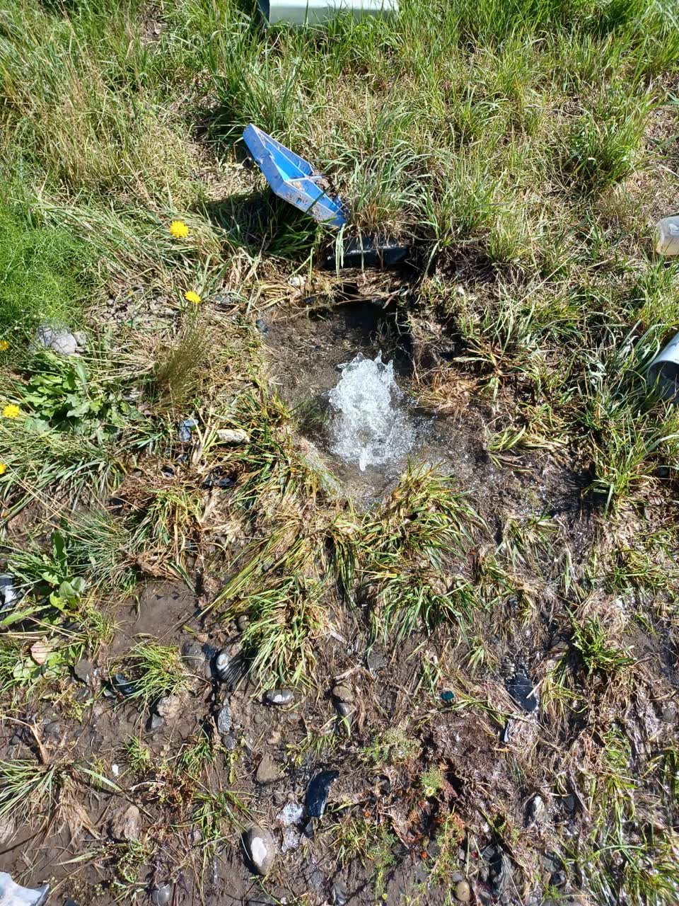 The photograph attached to this water leak report