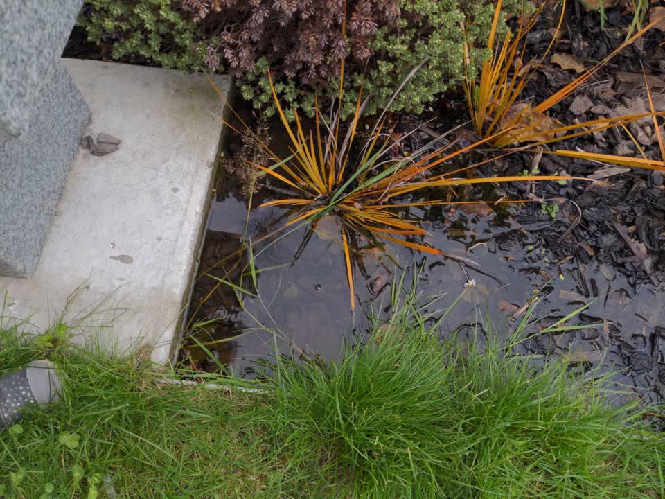 The photograph attached to this water leak report