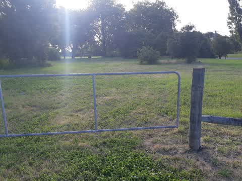 Parks — a report photo