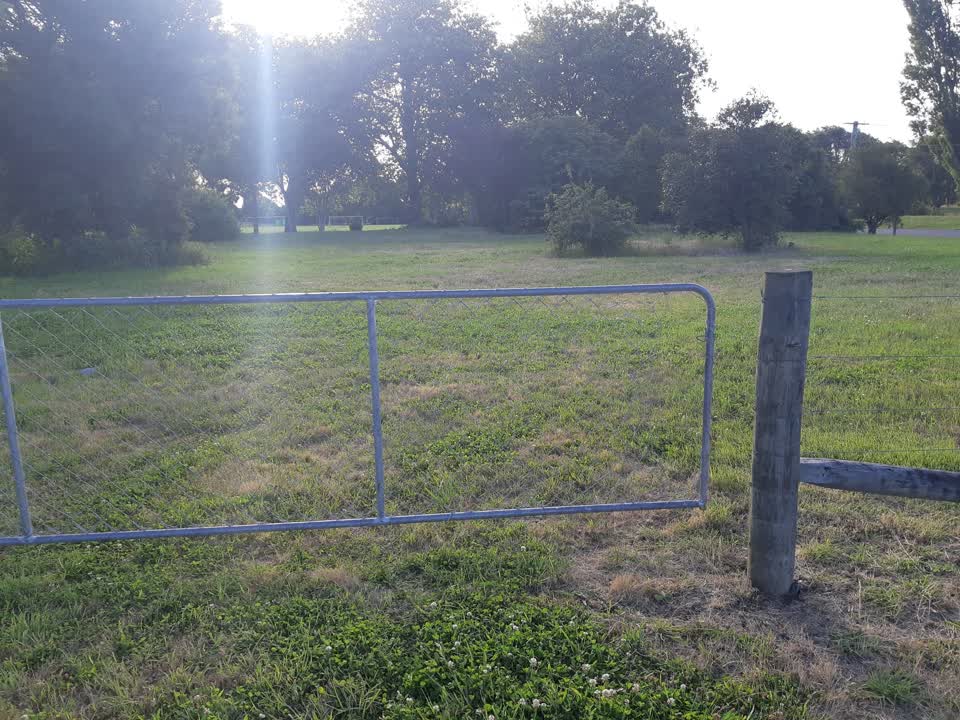 The photograph attached to this parks report