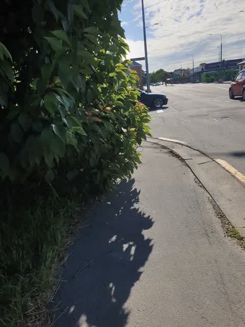 Roading/Streets, a report photo