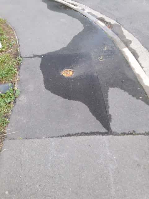 Water Leak — a report photo