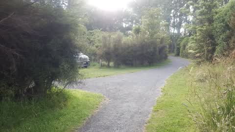 Parks, a report photo
